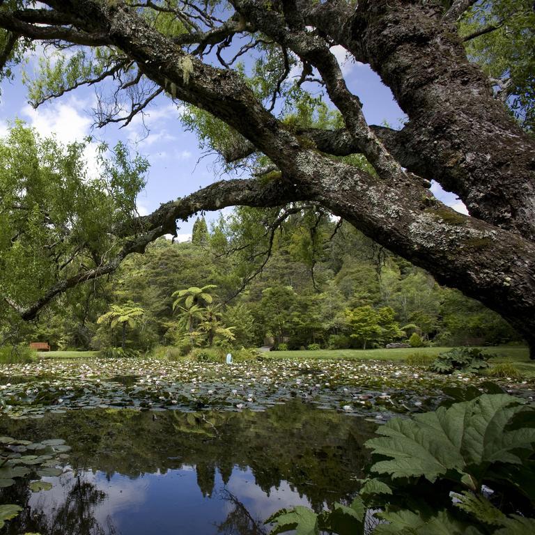 Rapaura Watergardens Bed and Breakfast Tapu Eksteriør billede