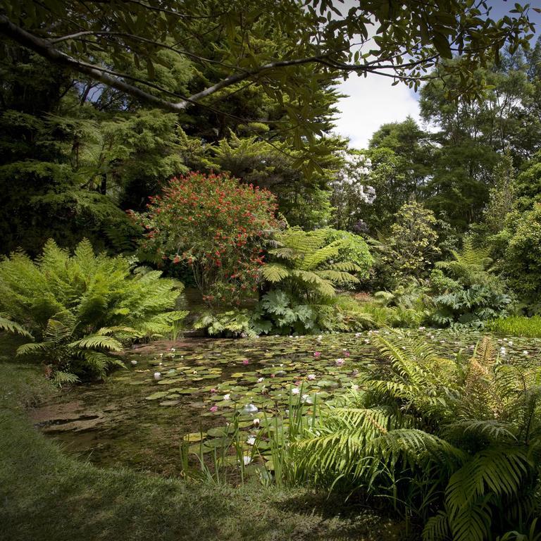 Rapaura Watergardens Bed and Breakfast Tapu Eksteriør billede